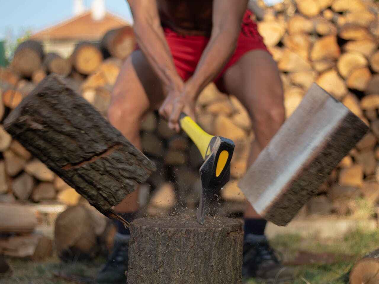 Best Tree Stump Removal  in Intercourse, PA